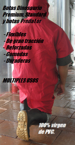 Botas